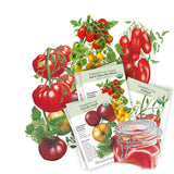 Tomato seeds packets with illustrations of tomatoes and packaging on a white background