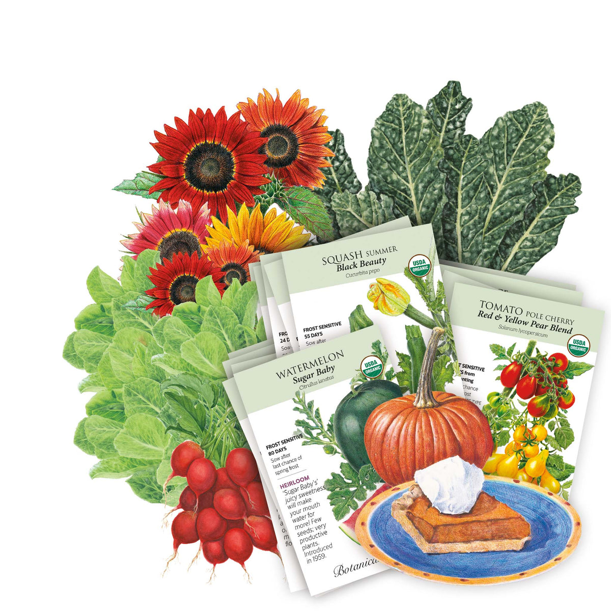 Fanned array of USDA organic heirloom seed packets—Black Beauty squash, Sugar Baby watermelon, and Pear Blend cherry tomato among them—layered over illustrated produce including sunflowers, kale, radishes, a pumpkin, and a slice of pie, with each packet printed with variety name and growing details.