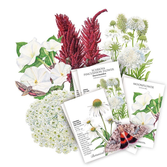 Seed packets for the Moon Garden bundle fanned out beside illustrated flowers including white moonflower, red celosia plumes, white scabiosa pincushion blooms and a coneflower, with packet text naming each variety and a moth illustration in the foreground.