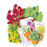 A seed packet bundle from Botanical Nursery featuring illustrated seed packets for carrot, zinnia, marigold, and brassica seeds, and other seeds included in the Northeast Seed Bundle arranged with matching colorful plants on a white background.