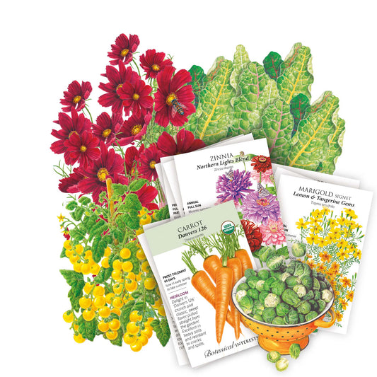 A seed packet bundle from Botanical Nursery featuring illustrated seed packets for carrot, zinnia, marigold, and brassica seeds, and other seeds included in the Northeast Seed Bundle arranged with matching colorful plants on a white background.