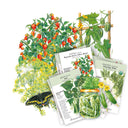 A collage of illustrated garden plants and seed packets on a white background, including tomatoes, cucumbers, beans, radishes, a butterfly, and a jar of pickled cucumbers. Seed packet text is partially visible, such as 'Pepper Cild' and 'Bean Mash'.