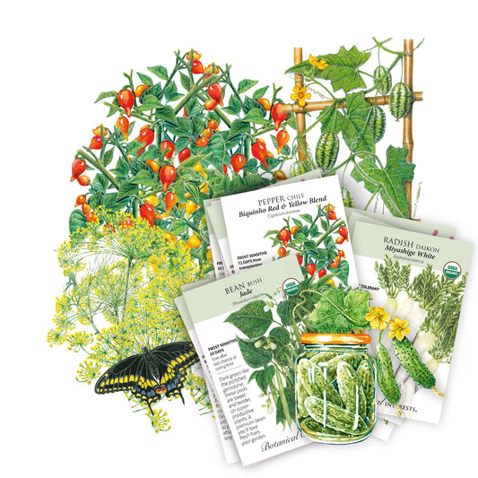 A collage of illustrated garden plants and seed packets on a white background, including tomatoes, cucumbers, beans, radishes, a butterfly, and a jar of pickled cucumbers. Seed packet text is partially visible, such as 'Pepper Cild' and 'Bean Mash'.