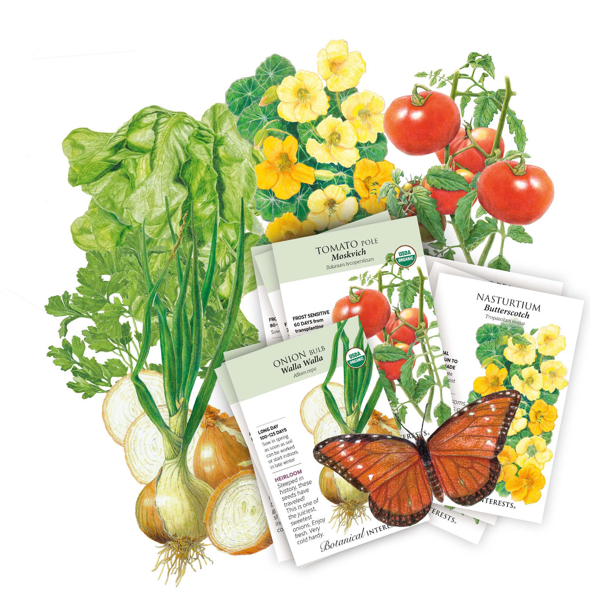 Illustration of garden produce and seed packets included in the Pacific Northwest Seed Bundle.
