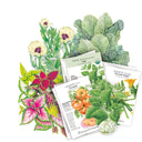A styled flat-lay arrangement of illustrated seed packets and botanical plant illustrations on a white background. Visible packet includes Southeast Seed Bundle assortment