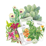 A styled flat-lay arrangement of illustrated seed packets and botanical plant illustrations on a white background. Visible packet includes Southeast Seed Bundle assortment