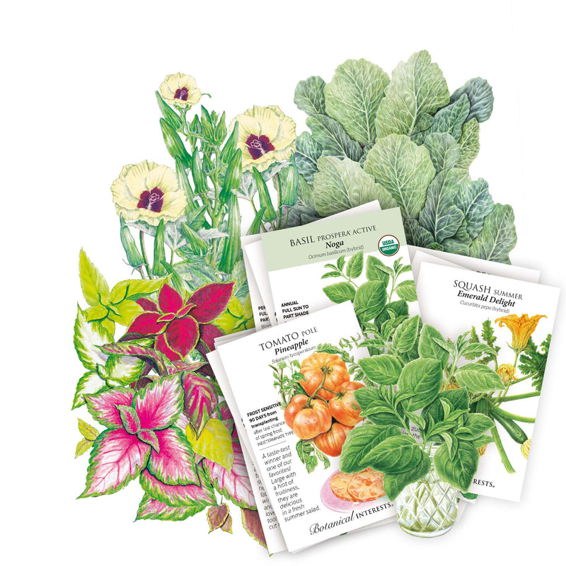 A styled flat-lay arrangement of illustrated seed packets and botanical plant illustrations on a white background. Visible packet includes Southeast Seed Bundle assortment