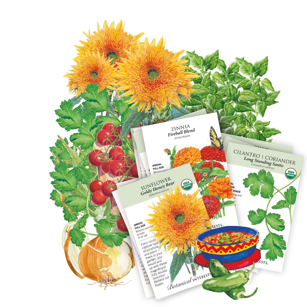 Collection of seed packets included in the Southwest Seed Bundle with images of flowers, vegetables, and a bowl of salad on a white background.