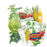 Three seed packets for vegetables arranged on a white background with illustrated and photographed versions of the seeds, including corn, tomatoes, cabbage, and jalapeños.