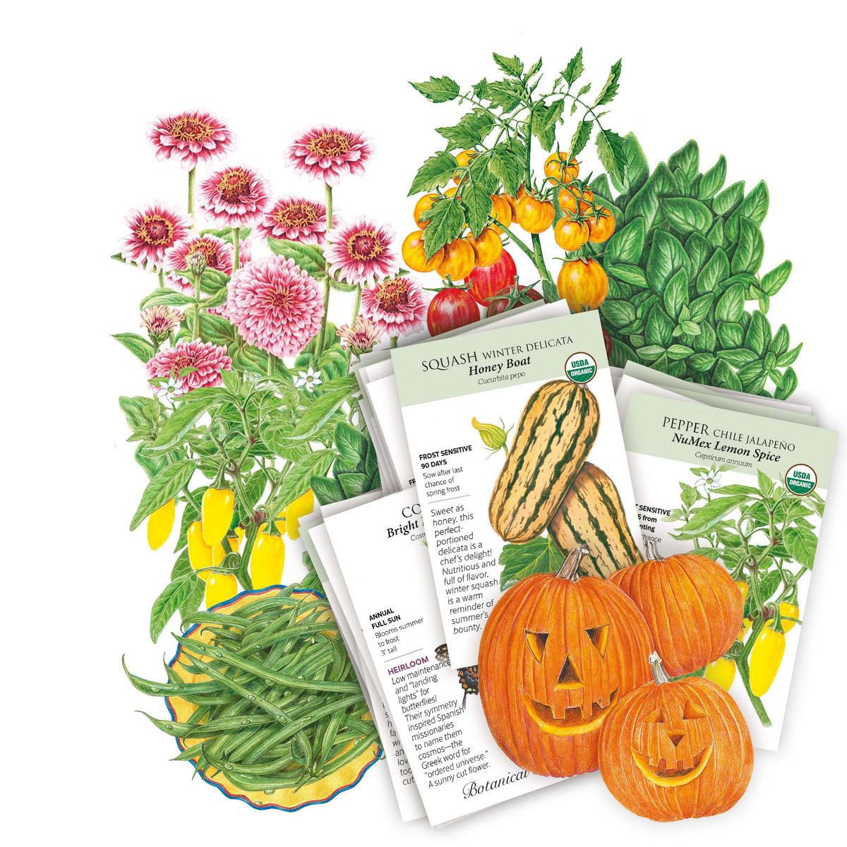 Collection of seed packets included in the Warm Season Garden Seed Bundle with illustrations of plants and pumpkins on a white background