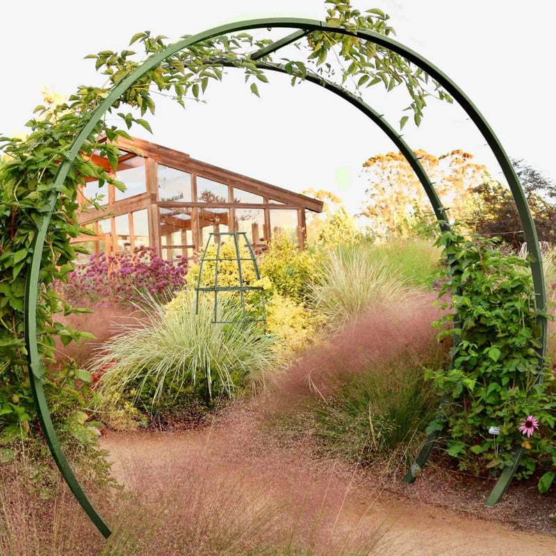 Olive green circular metal Gracie Modern Arbor forming a garden archway over a path, with a wooden greenhouse in the background,