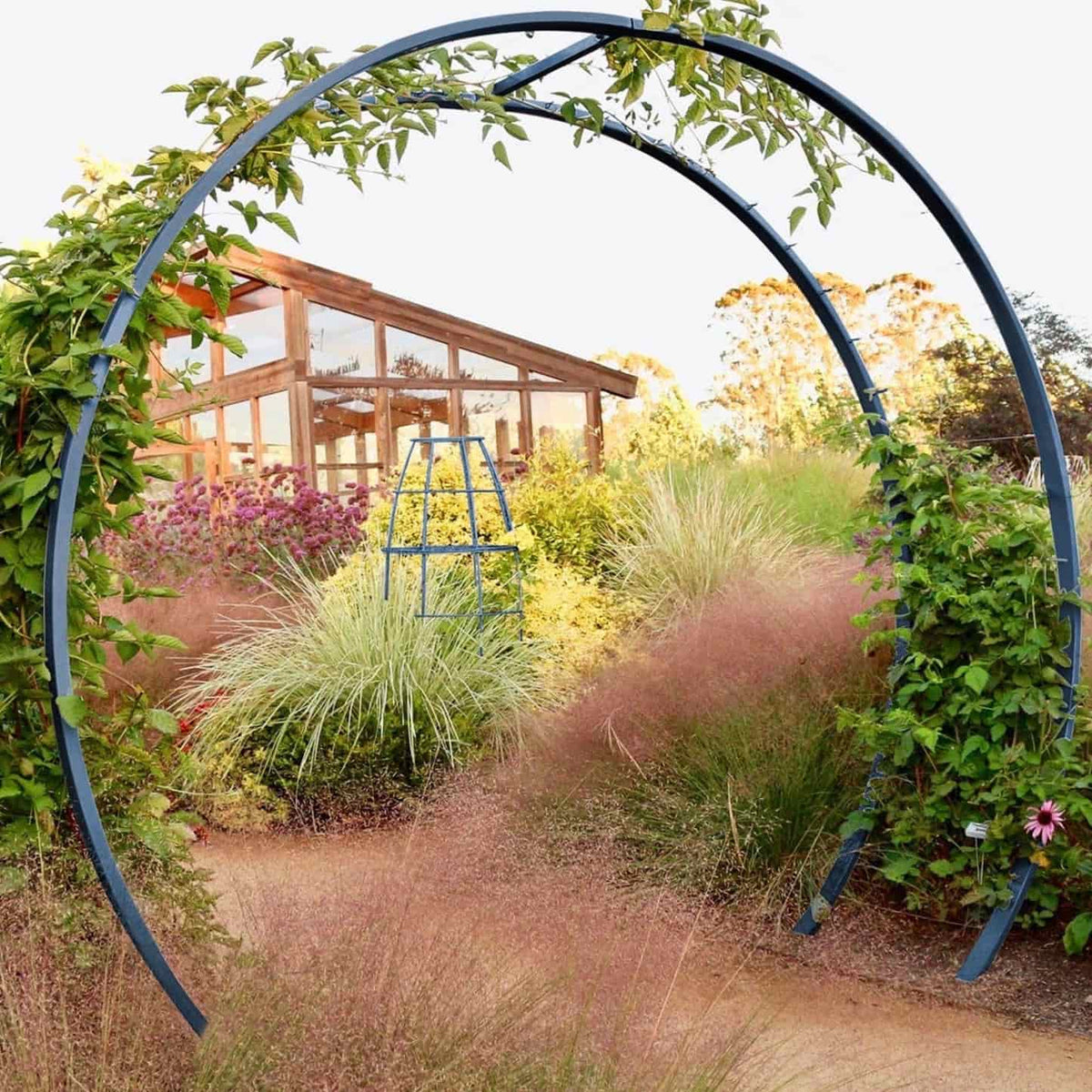 A round black metal Gracie Modern Arbor draped with climbing vines frames a garden path lined with pink muhly grass and ornamental plantings, leading toward a wooden greenhouse in the background.