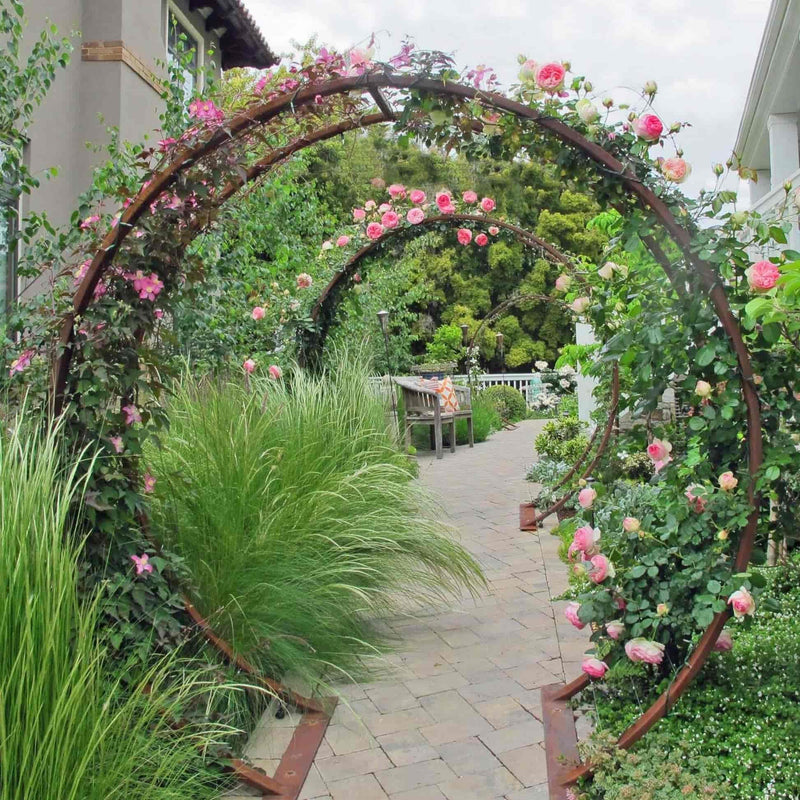 Rust-finished circular metal Gracie Modern Arbor creating an arched garden entryway covered in pink climbing roses