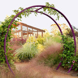 Purple green circular metal Gracie Modern Arbor forming a garden archway over a path, with a wooden greenhouse in the background