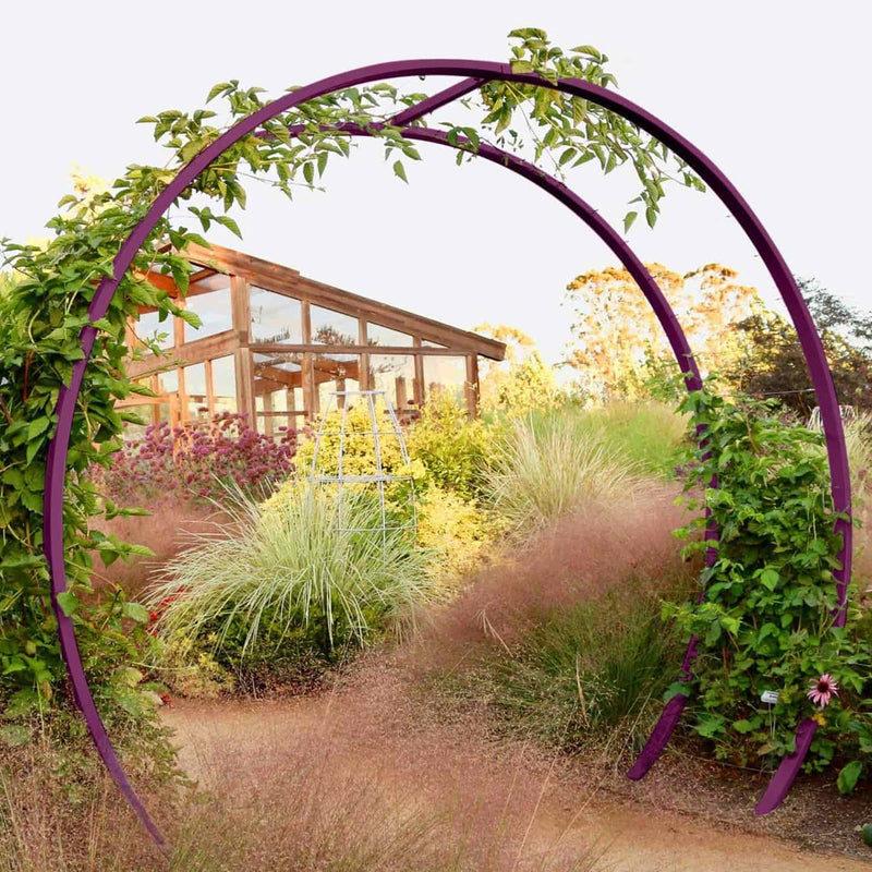 Purple green circular metal Gracie Modern Arbor forming a garden archway over a path, with a wooden greenhouse in the background