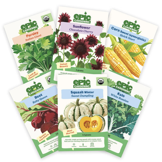 Six seed packets from Epic Gardening arranged in a fan shape on a white background. The packets feature colorful illustrations of various vegetables including parsley, sunflower, corn sweet, beet, squash, and kale.