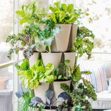 A stacked tan GreenStalk vertical planter with multiple pockets overflowing with lettuce, kale, chard, and herbs, set on a bright sunroom porch with a striped cushioned bench behind it.