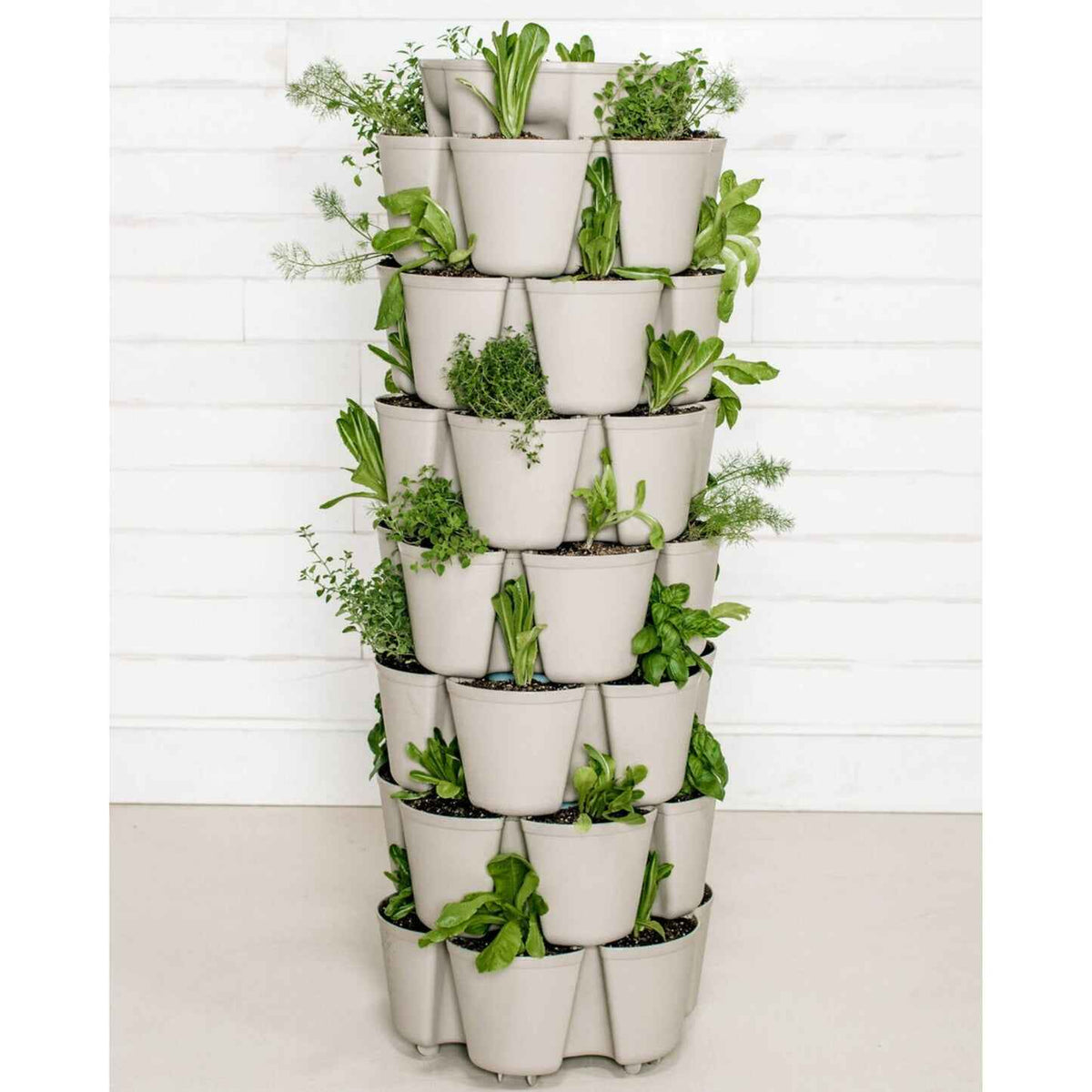 A stone-coloured GreenStalk vertical planter with multiple tiered pots arranged around a tall central column, each planted with leafy herbs and greens such as lettuce, thyme and basil, standing against a white wood-panelled wall.