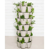A stone-coloured GreenStalk vertical planter with multiple tiered pots arranged around a tall central column, each planted with leafy herbs and greens such as lettuce, thyme and basil, standing against a white wood-panelled wall.