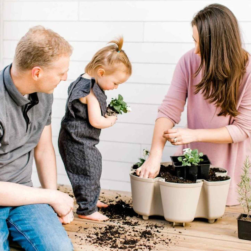 A father and toddler watch as a mother plants seedlings into a scalloped, multi-pocket cream planter on a wooden deck, with soil scattered around and a rosemary plant nearby.