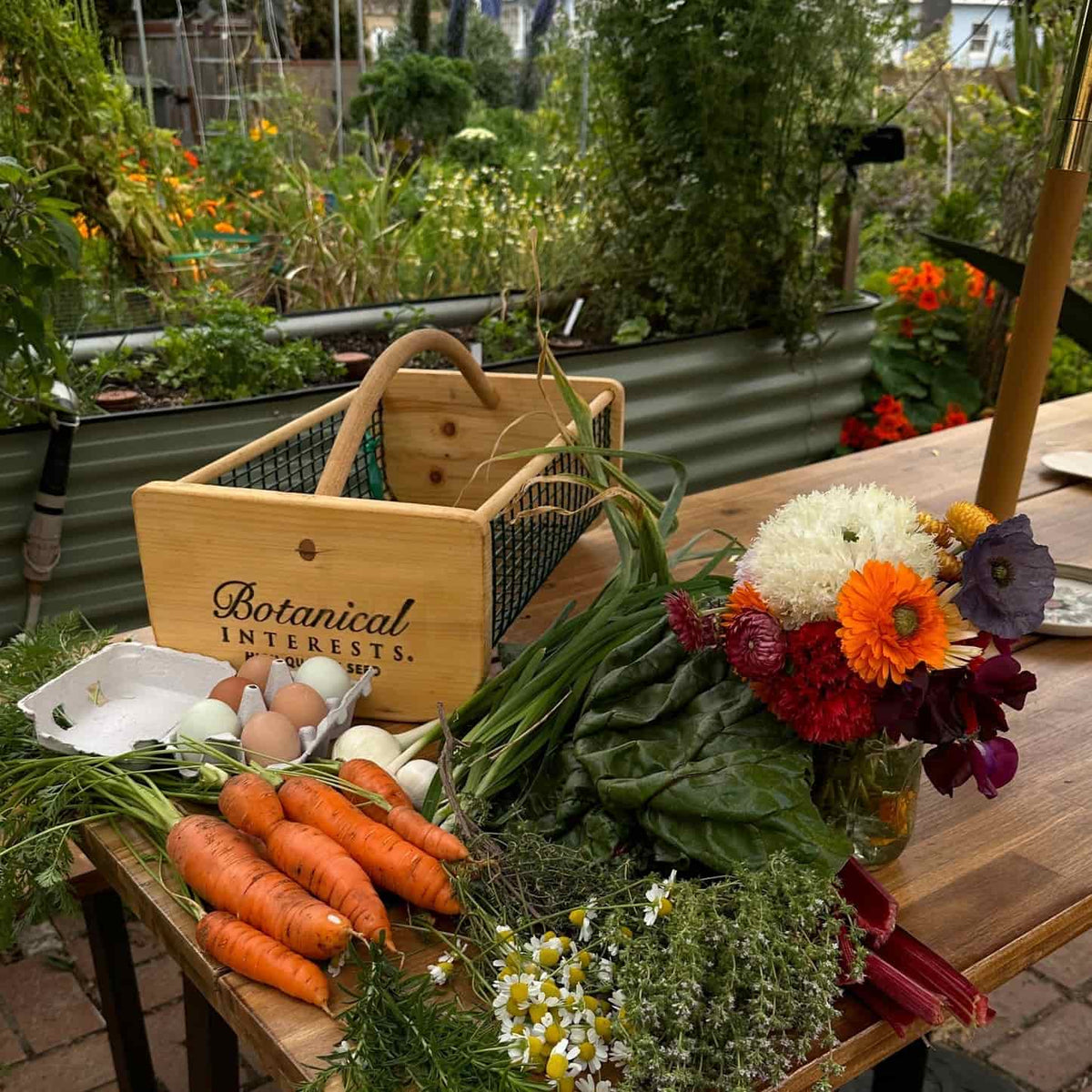 Botanical Interests Harvest Basket loaded with fresh orange carrots, white radish, chamomile flowers, herbs, and leafy greens, with eggs on a wooden outdoor table