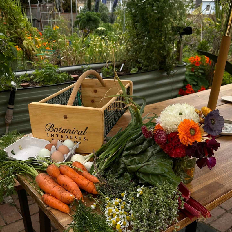Botanical Interests Harvest Basket loaded with fresh orange carrots, white radish, chamomile flowers, herbs, and leafy greens, with eggs on a wooden outdoor table
