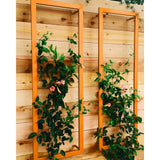 Two orange metal rectangular Ina Wall Trellises mounted on a light wood wall with flowering vines climbing through their wire grids
