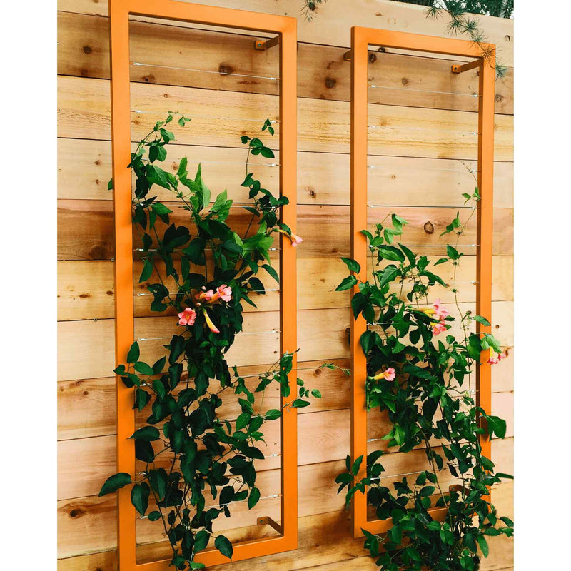 Two orange metal rectangular Ina Wall Trellises mounted on a light wood wall with flowering vines climbing through their wire grids