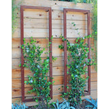 Two zinc metal rectangular Ina Wall Trellises mounted on a light wood wall with flowering vines climbing through their wire grids