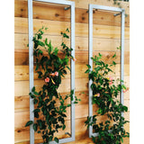 Two silver metal rectangular Ina Wall Trellises mounted on a light wood wall with flowering vines climbing through their wire grids