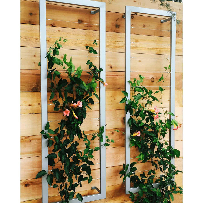 Two silver metal rectangular Ina Wall Trellises mounted on a light wood wall with flowering vines climbing through their wire grids