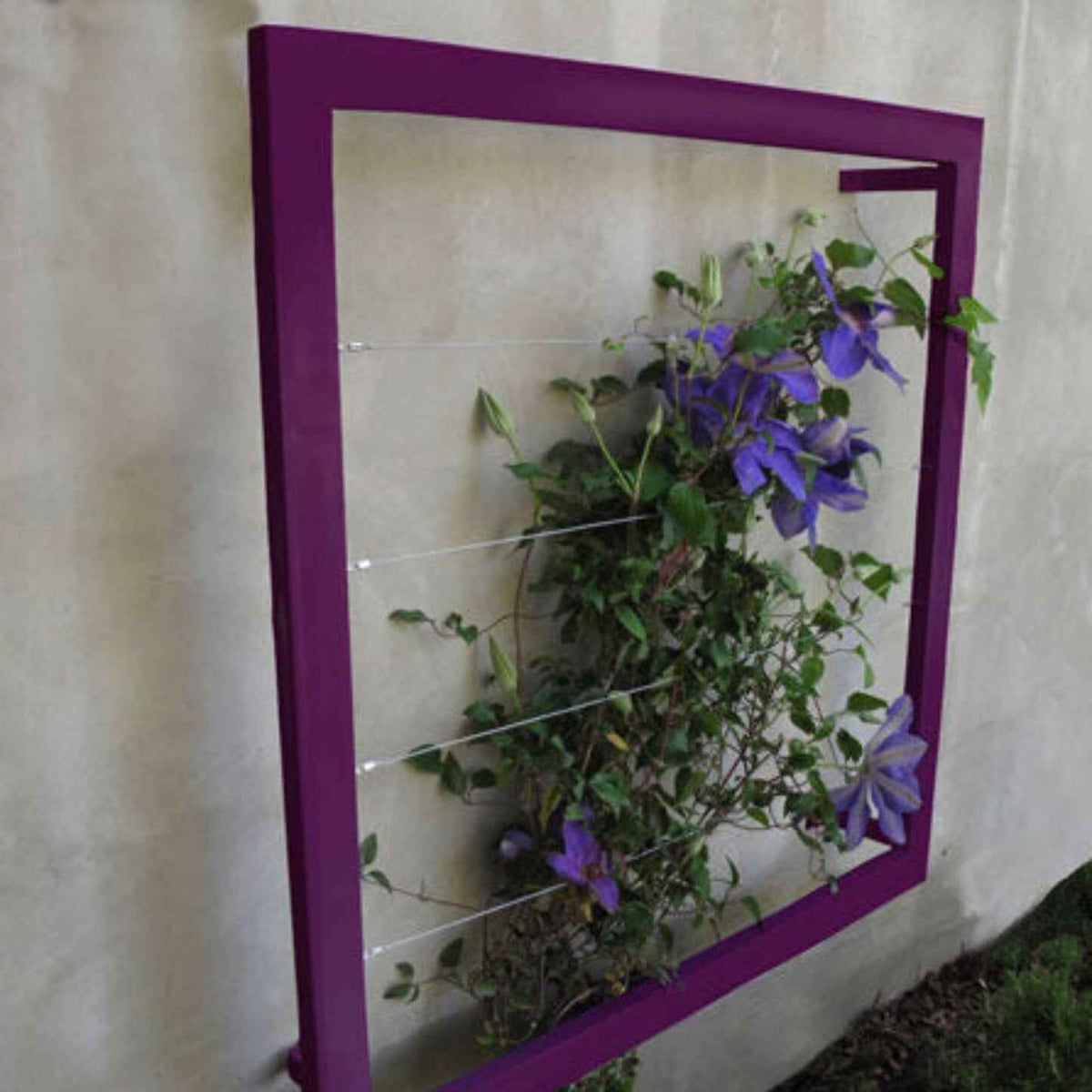 Purple square metal Ina Wall Trellis mounted on a gray wall with purple clematis flowers climbing through the wire grid