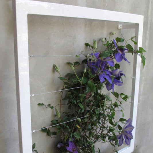 White square metal Ina Wall Trellis mounted on a gray wall with purple clematis flowers climbing through the wire grid