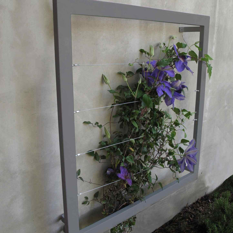 Charcoal square metal Ina Wall Trellis mounted on a gray wall with purple clematis flowers climbing through the wire grid