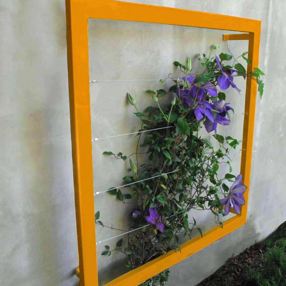 Orange square metal Ina Wall Trellis mounted on a gray wall with purple clematis flowers climbing through the wire grid