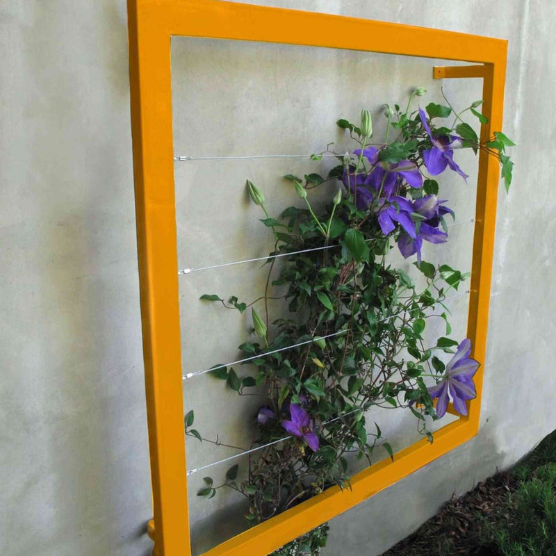 Orange square metal Ina Wall Trellis mounted on a gray wall with purple clematis flowers climbing through the wire grid