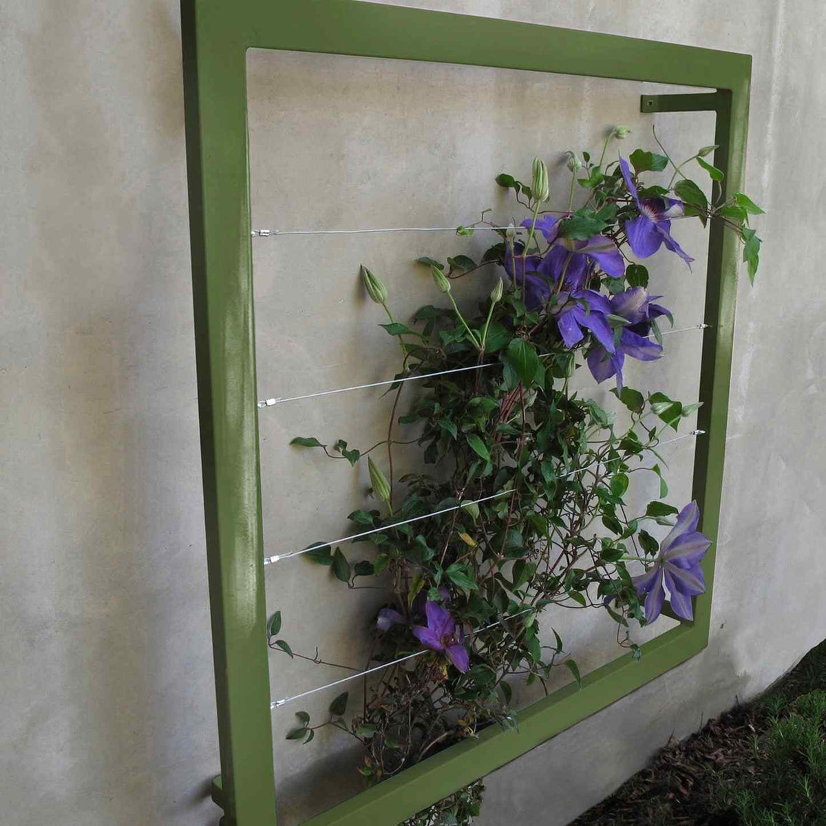 Olive green square metal Ina Wall Trellis mounted on a gray wall with purple clematis flowers climbing through the wire grid