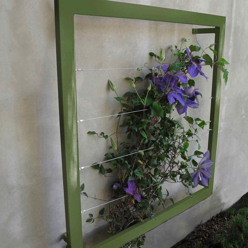 Olive green square metal Ina Wall Trellis mounted on a gray wall with purple clematis flowers climbing through the wire grid