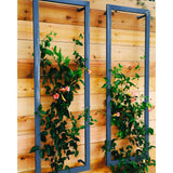 Two blue metal rectangular Ina Wall Trellises mounted on a light wood wall with flowering vines climbing through their wire grids