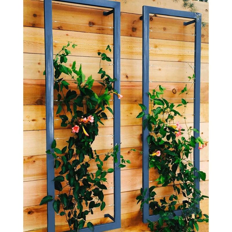 Two blue metal rectangular Ina Wall Trellises mounted on a light wood wall with flowering vines climbing through their wire grids