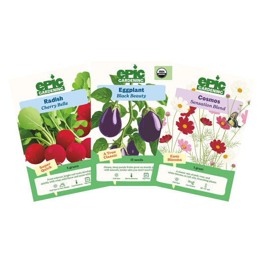 Three Eric Gardening seed packet cards fanned out on a white background, showing Radish Cherry Belle, Eggplant Black Beauty, and Cosmos Sensation Blend.