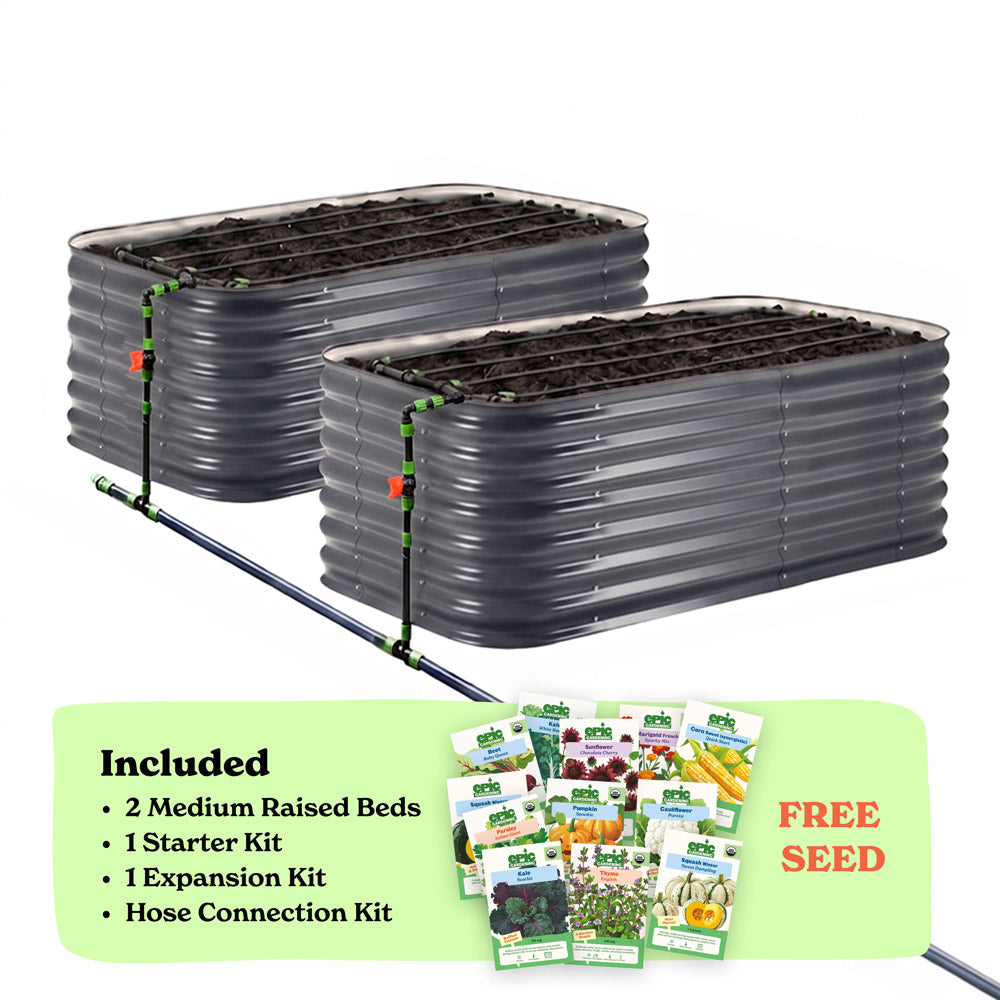 Two slate gray corrugated raised garden beds with soil inside, connected by a black hose of the epic irrigation system on a white background. A light green banner at the bottom lists included items: 2 29-inch tall medium raised beds, 1 starter kit, 1 expansion kit, and hose connection kit, with a small seed packet collage and the words 'FREE SEED'.
