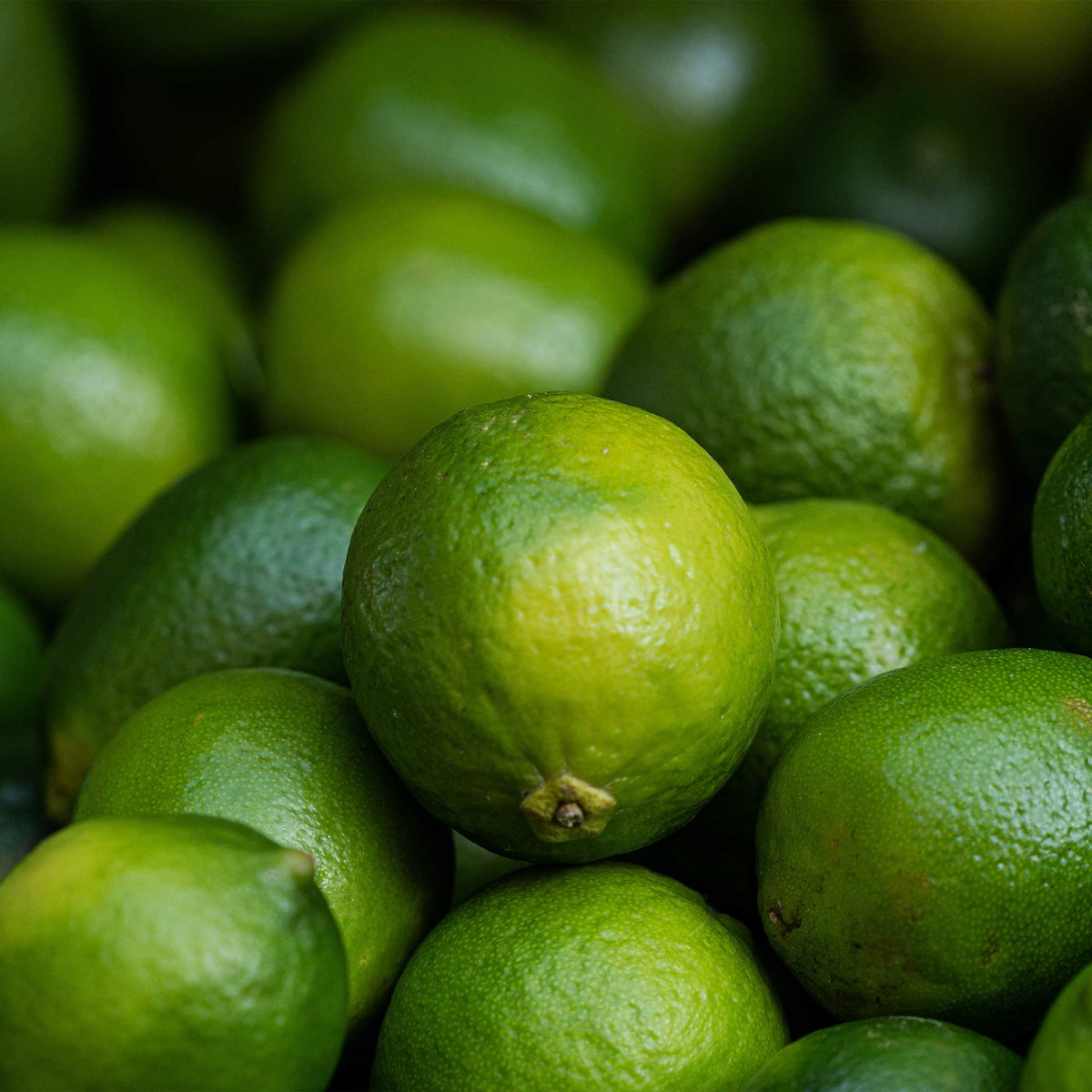 Close-up of a pile of green key limes