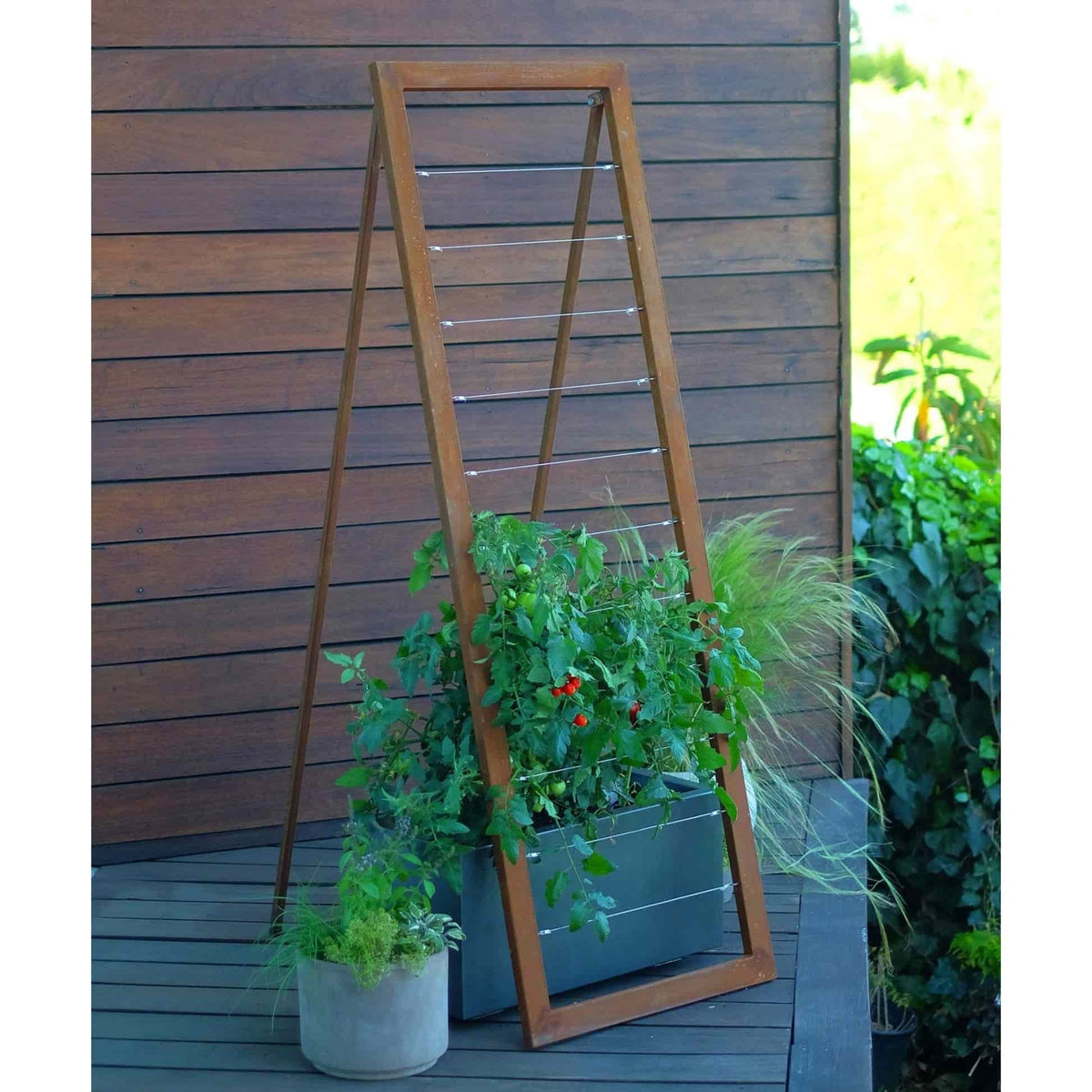 Rust-finished A-frame Mira Garden Trellis supporting lush green potted plants against a dark wood wall