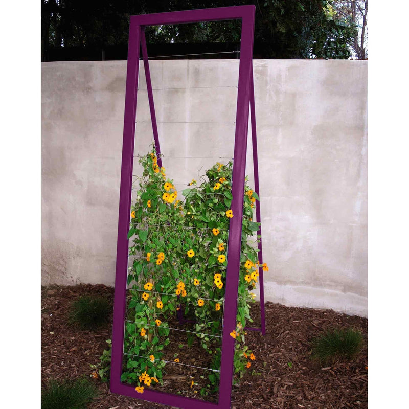 Purple metal frame A-frame Mira Garden Trellis with black-eyed Susan vines climbing up the grid wire, positioned in front of a concrete wall