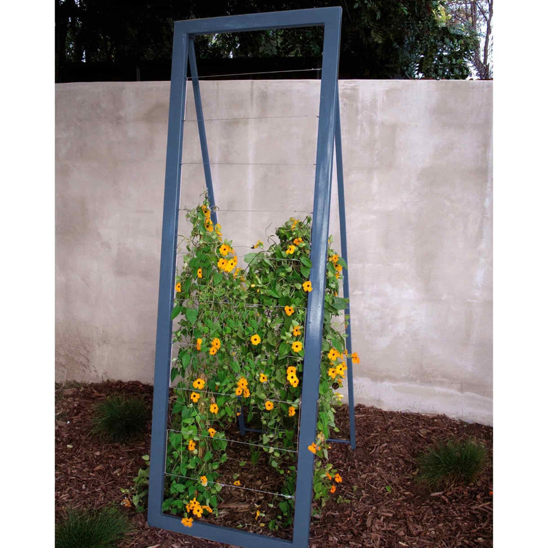 Indigo metal frame A-frame Mira Garden Trellis with black-eyed Susan vines climbing up the grid wire, positioned in front of a concrete wall