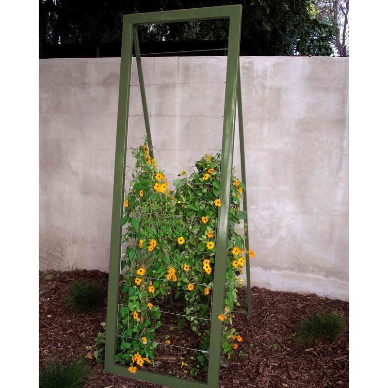 Olive green metal frame A-frame Mira Garden Trellis with black-eyed Susan vines climbing up the grid wire, positioned in front of a concrete wall
