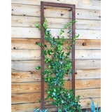 Zinc metal rectangular Ina Wall Trellises mounted on a light wood wall with flowering vines climbing through their wire grids