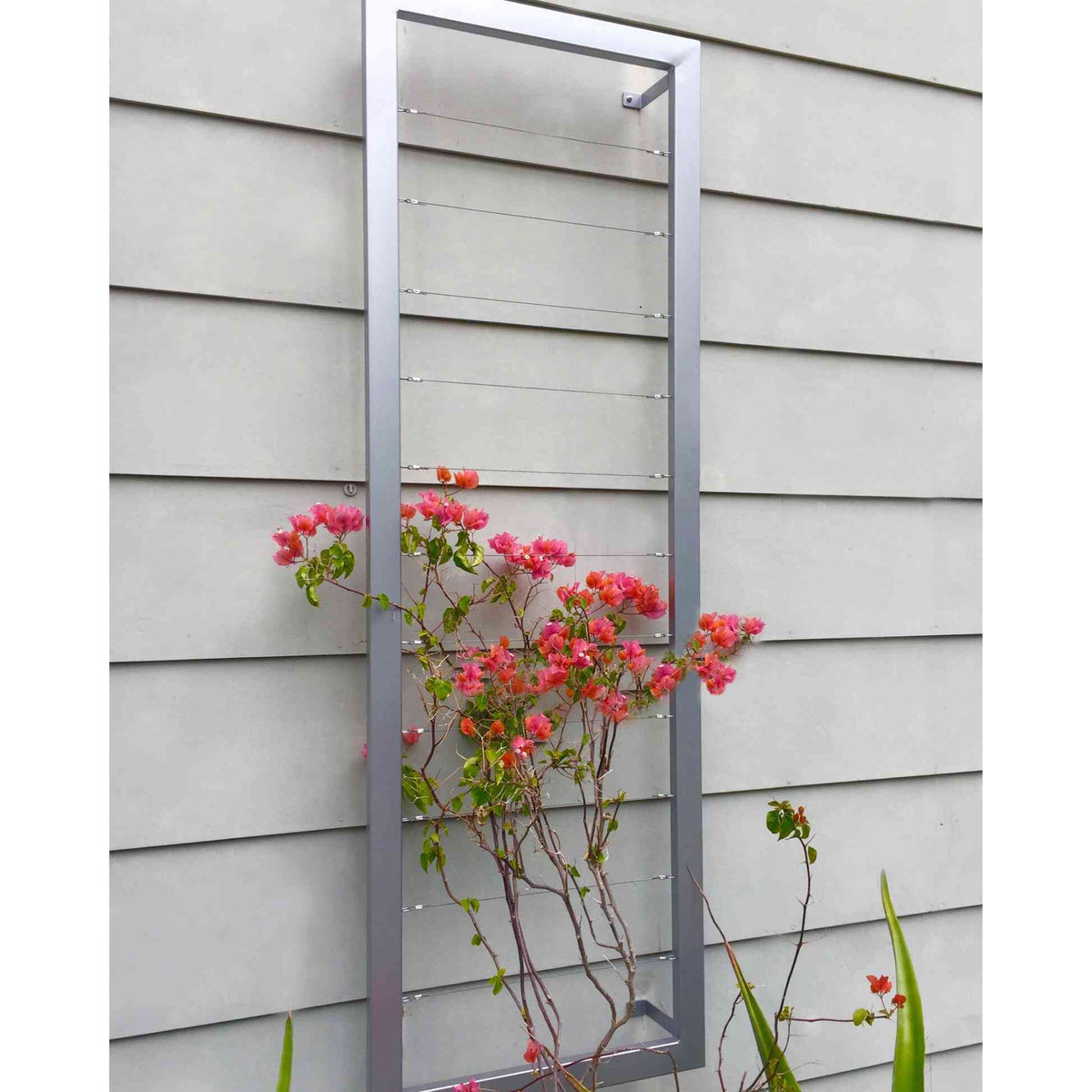 Silver tall rectangular Ina Wall Trellis mounted on a gray siding wall with bright pink bougainvillea flowers climbing through its wire grid
