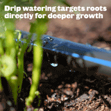 Water dripping through the epic irrigation watering system